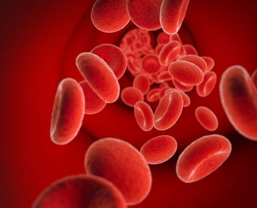 Detailed Information You Need to Know About Polycythemia Vera